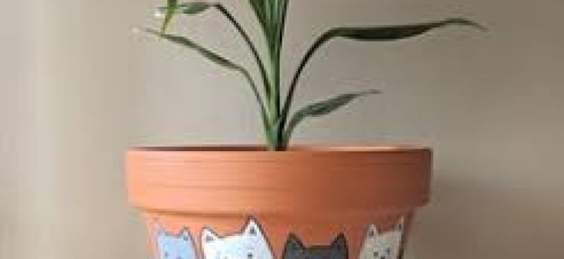 images (5)